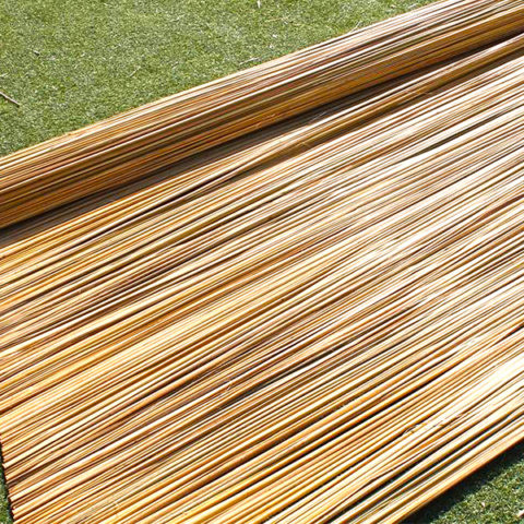 קנים – דקים