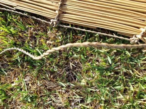 סכך-נצרים (10)