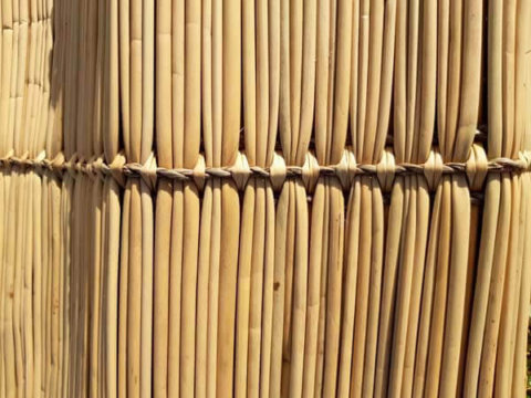 סכך-נצרים (8)